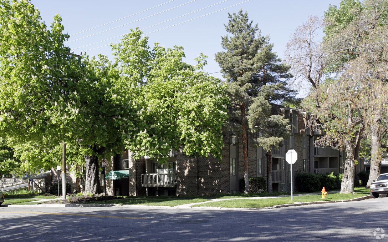 Primary Photo - 31 M St