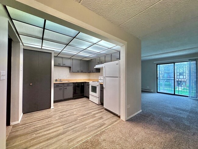 Building Photo - 240 Klein Creek Ct