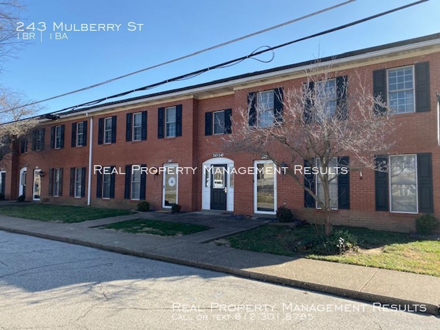 Primary Photo - 243 Mulberry St