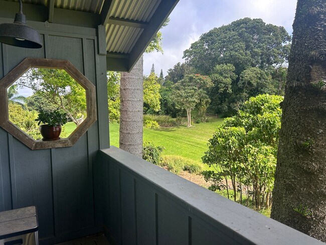 Foto del edificio - Furnished Luxury Ocean-View Studio | Hawi | Fiber + W/D