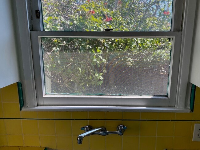 View of yard from Kitchen Sink - 924 Electric Ave