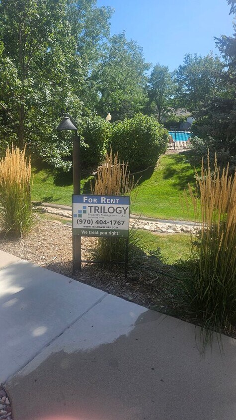 Foto principal - Wonderful Cozy Townhome in SE Fort Collinss