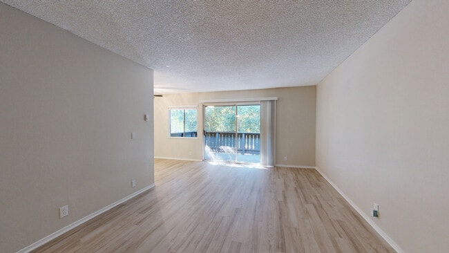Interior Photo - Birch Creek