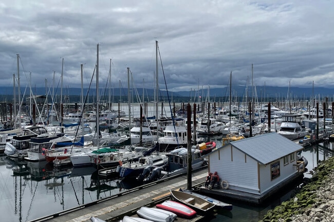 Landscape at the Royston shipwreck site during high tide near Courtenay, Vancouver Island British Columbia.