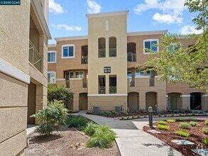 Building Photo - 4708 Norris Canyon Rd