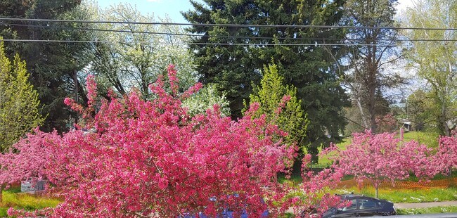 Spring View from living room - 4340 N Michigan Ave