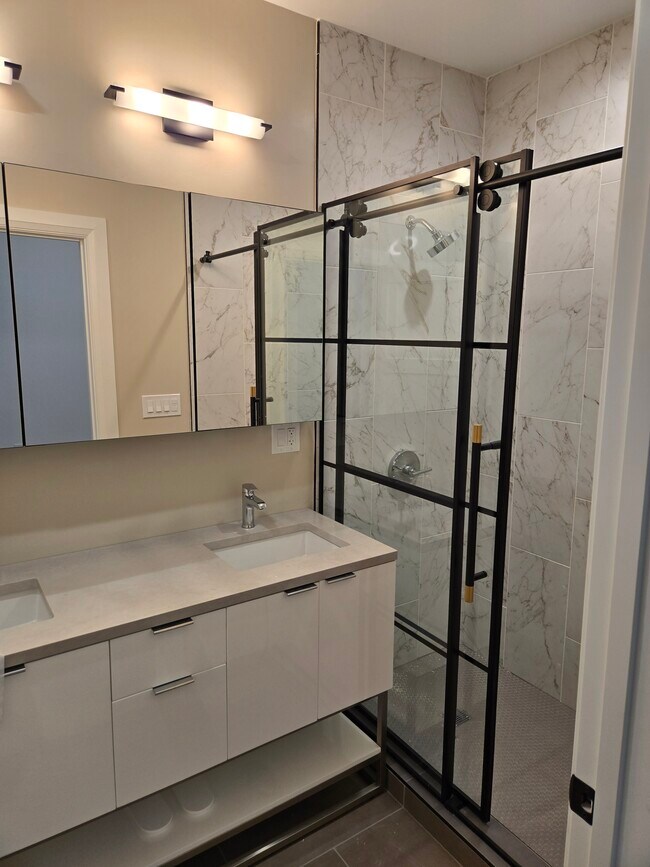 Baño principal - 2909 N Milwaukee Ave