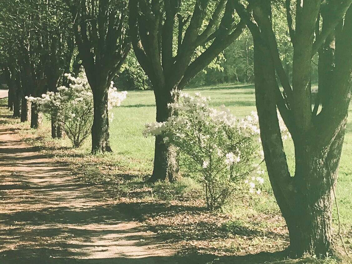 4071 Whiteside Rd, Bostic, NC 28018 House Rental in Bostic, NC