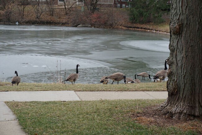 Foto del edificio - 913 Casey Ct