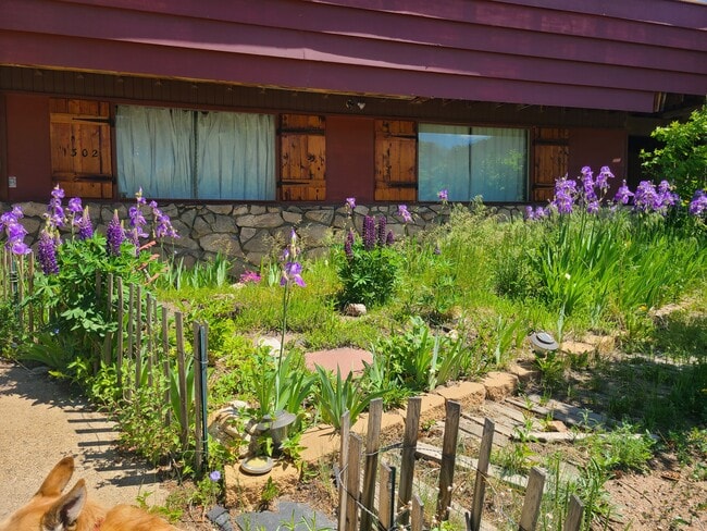 Building Photo - 1302 Colorado Blvd