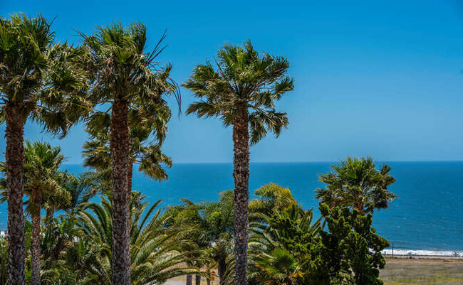 Ocean Views - 6169 La Gloria Dr