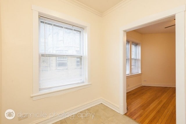 Building Photo - 901 W Altgeld St