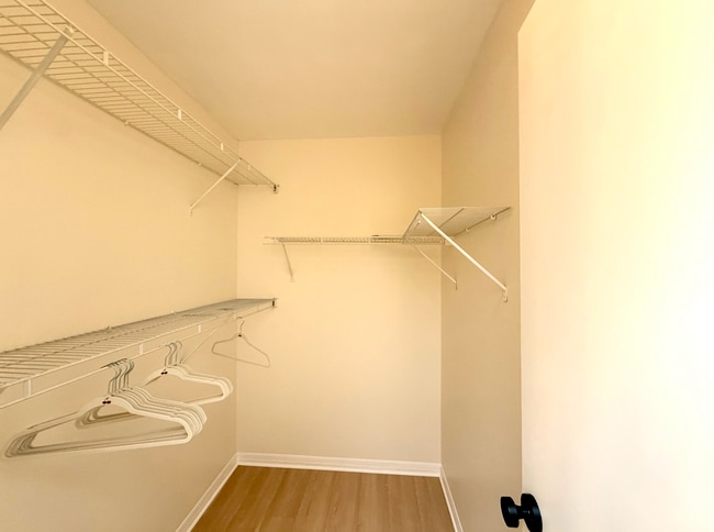 Walk In Closet - 924 Tillery Way