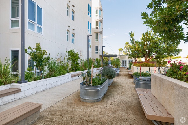 Patio - Harris Family Senior Residence
