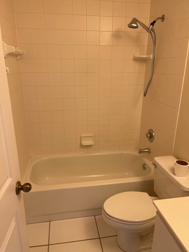 Guest bath - 326 Bradstrom Cir
