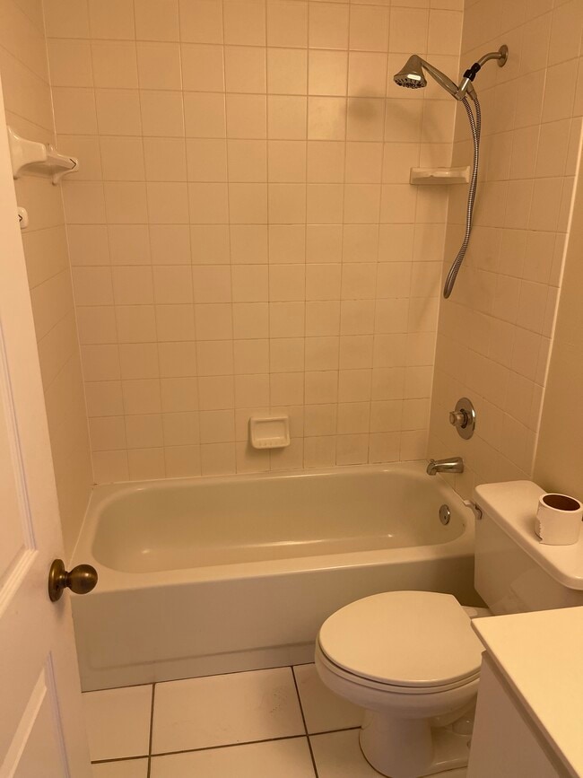 Guest bath - 326 Bradstrom Cir