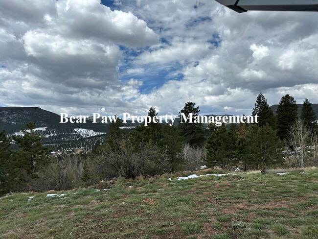 Building Photo - "Charming 1-Bedroom Retreat in Bailey, CO ...