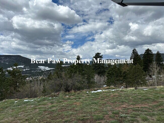 Foto del edificio - "Charming 1-Bedroom Retreat in Bailey, CO ...