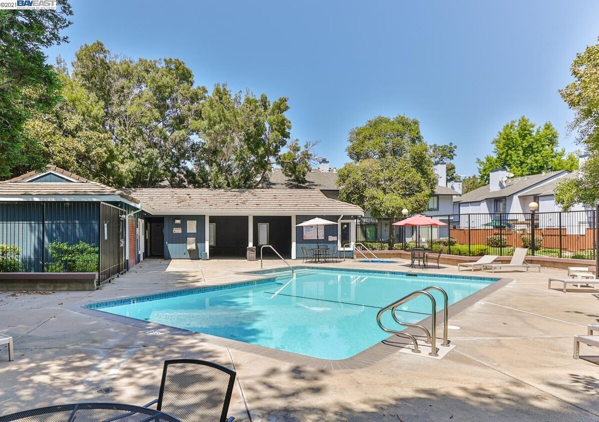 Pool and Common Areas - 6119 Thornton Ave
