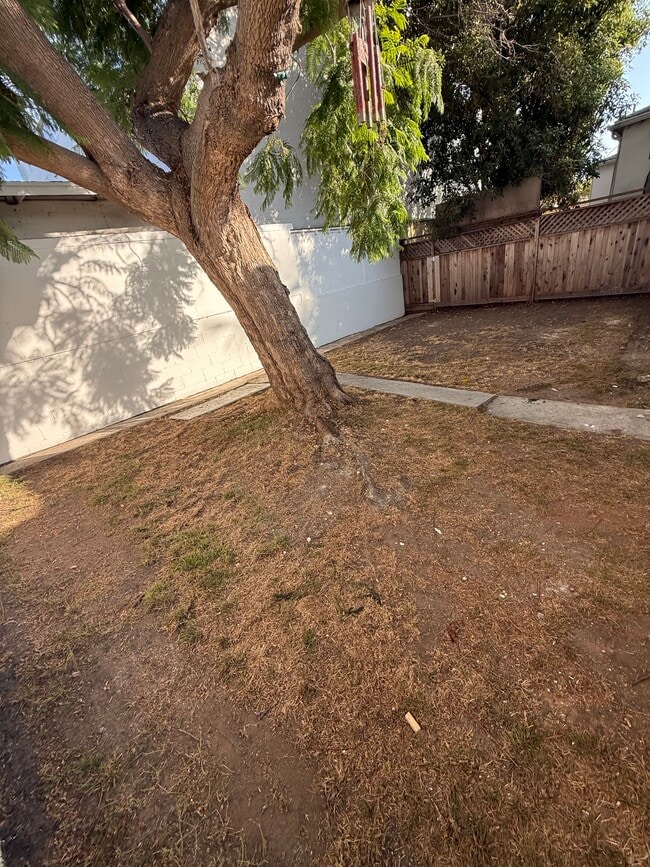 Huge private backyard - 1543 11th St
