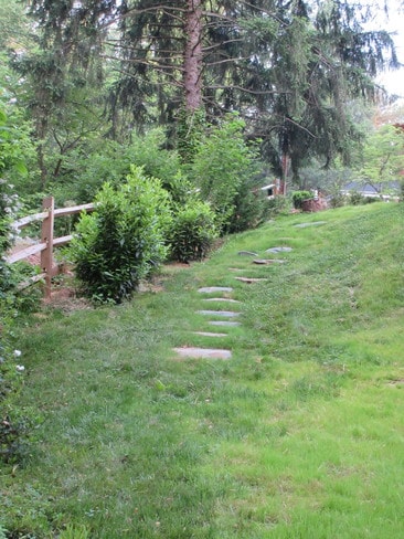 Side yard - 104 Buckingham Rd