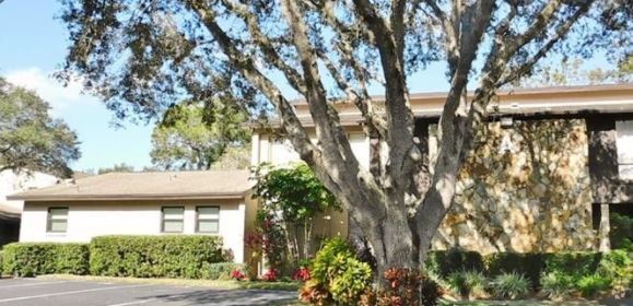 Oldsmar Apartments