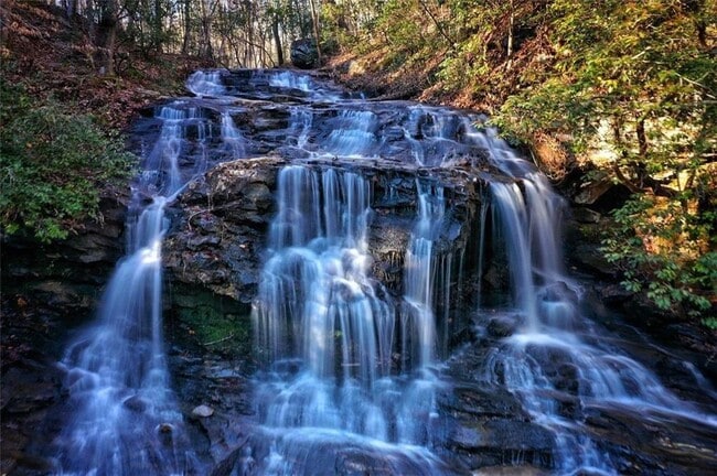 Foto del edificio - 135 Wolfscratch Dr