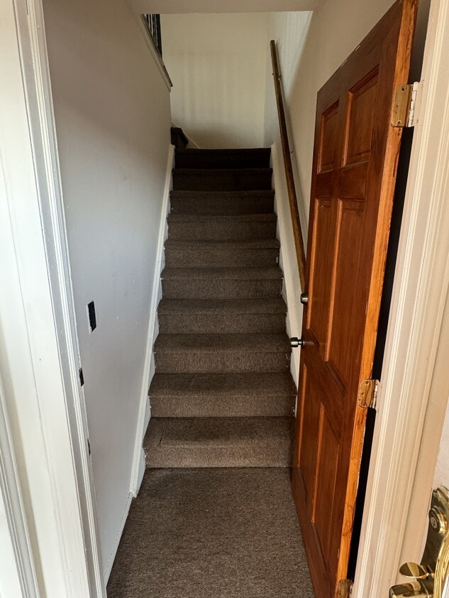 Imagen 1616 - 28 Young Ave