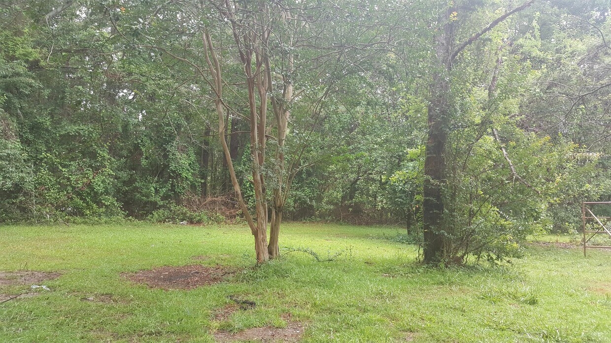 Foto del edificio - 1207 Hampton Rd