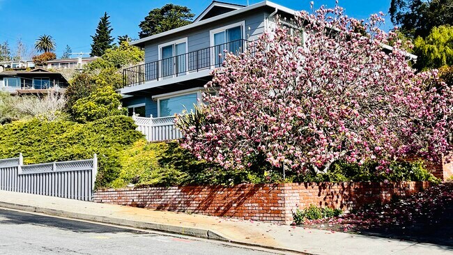 Building Photo - 520 Escalona Dr