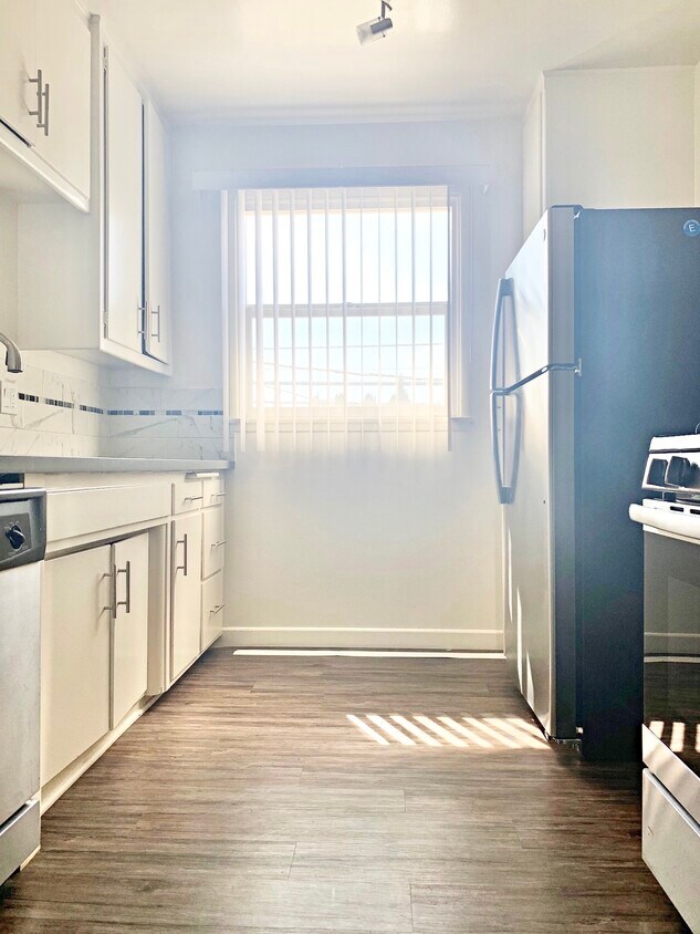 91 Apartments For Rent In Beachwood Canyon Ca Westside Rentals