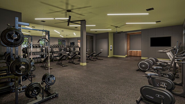 20250205 07 APTITUD FÍSICA_actualizado - The Edge