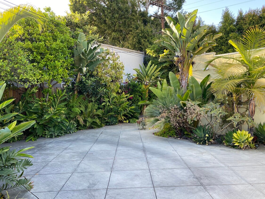 Patio trasero - 6551 Fountain Ave
