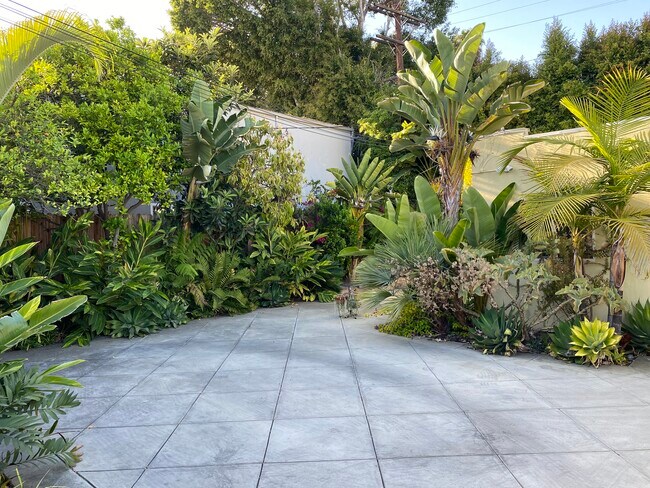 Patio trasero - 6551 Fountain Ave