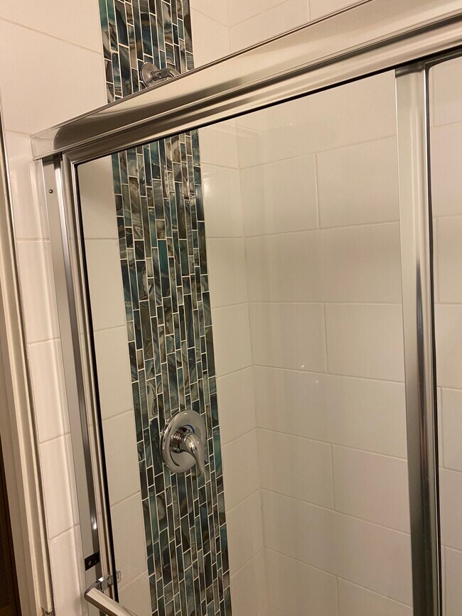 Newly remodeled bathroom shower - 1517 W Balboa Blvd