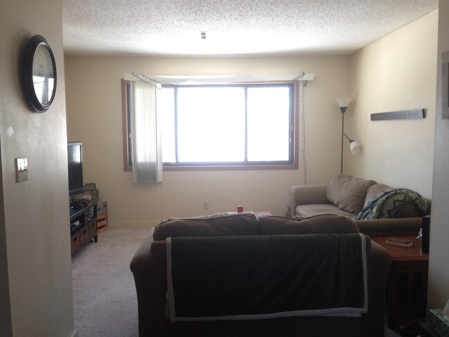 sunny great room - 924 Kellogg Ave