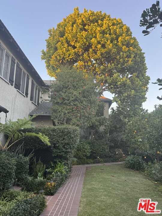 Foto del edificio - 7917 Norton Ave