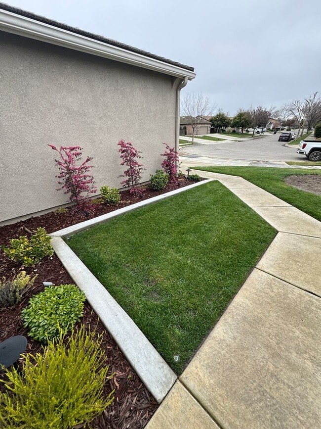 Foto del edificio - 3 bed 2 bath - beautiful home!