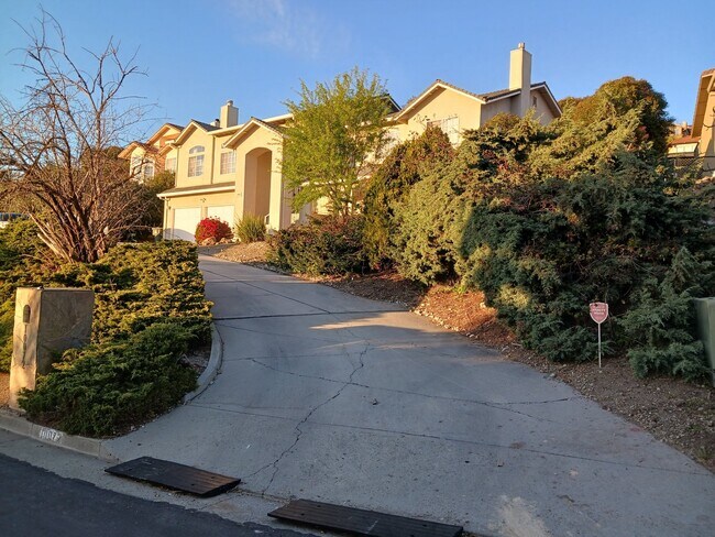 Foto del edificio - 10072 Roseview Dr