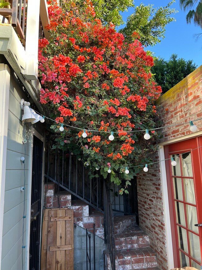 Vista desde el patio - 2142 Baxter St