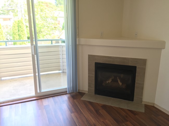 Gas fireplace (PSE) - Westwood Park Villa