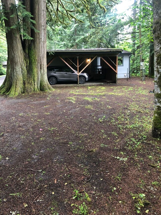 Foto del edificio - River Rapids