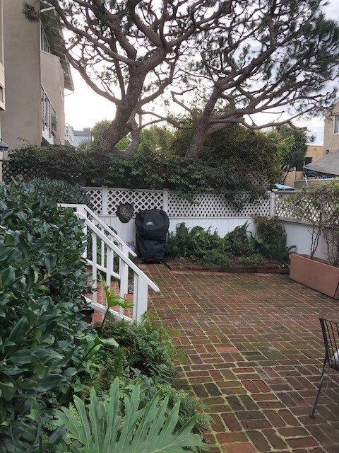 Patio Area - 20 19th Ave