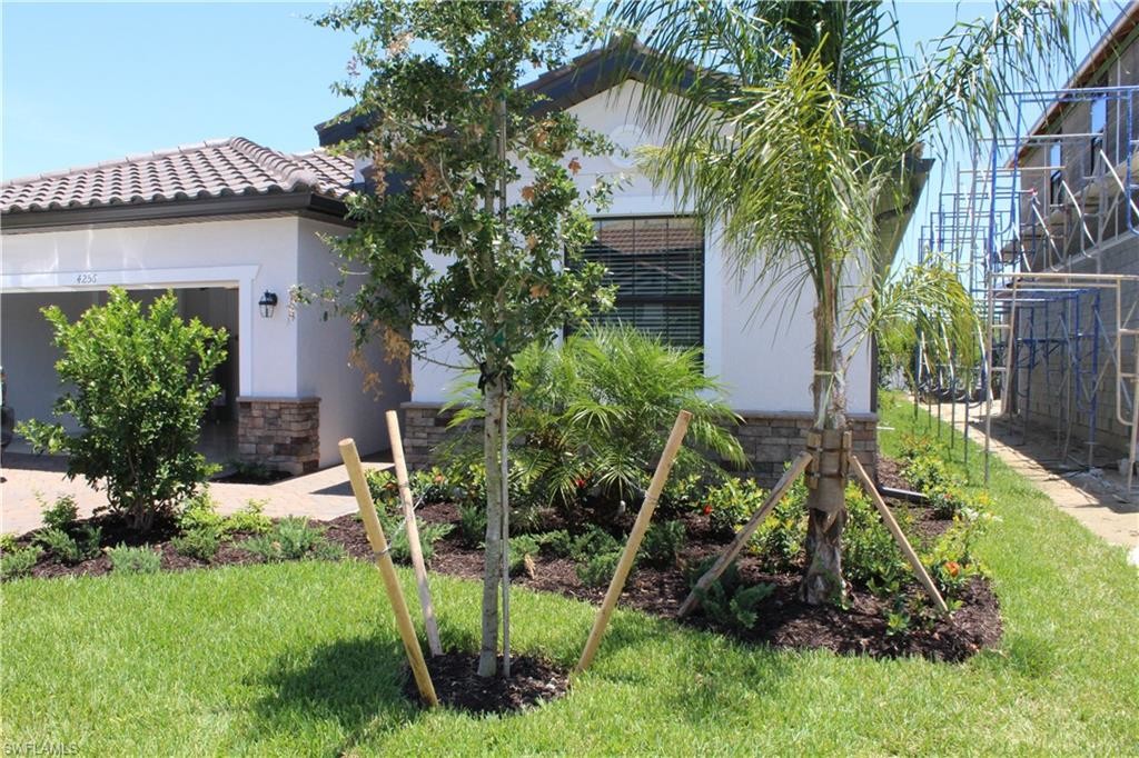 Primary Photo - 4256 Raffia Palm Cir
