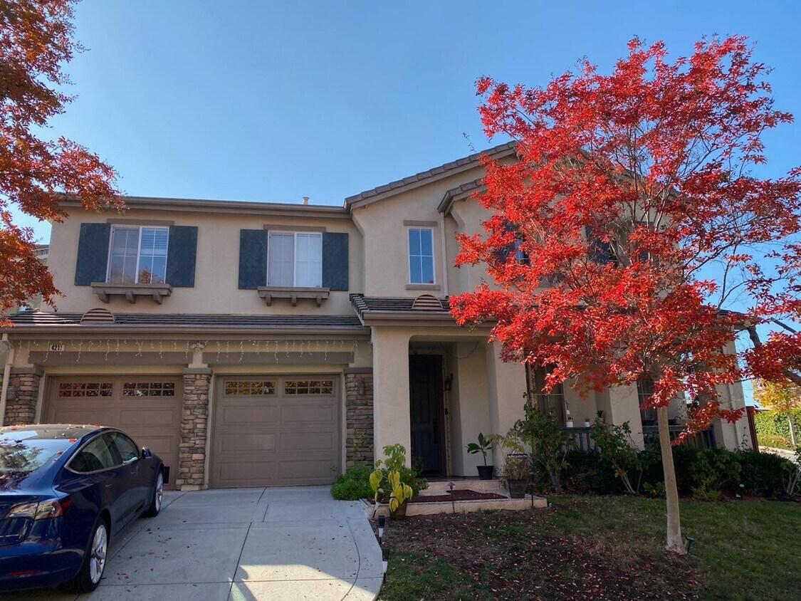 Primary Photo - 4211 indigo oak court