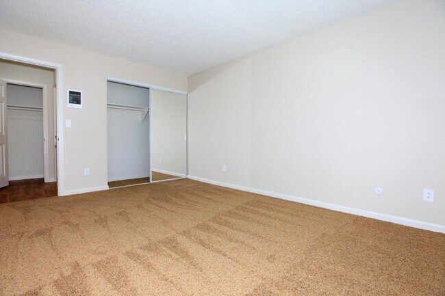 Interior Photo - Maple View Apartment
