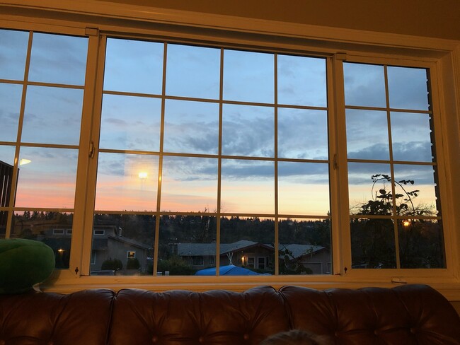 Southern view out of living room - 4360 Imperial Dr