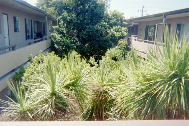 Foto del edificio - 33 Lodato Ave