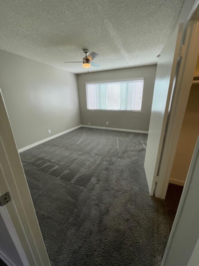 Interior Photo - 291 Avocado St.