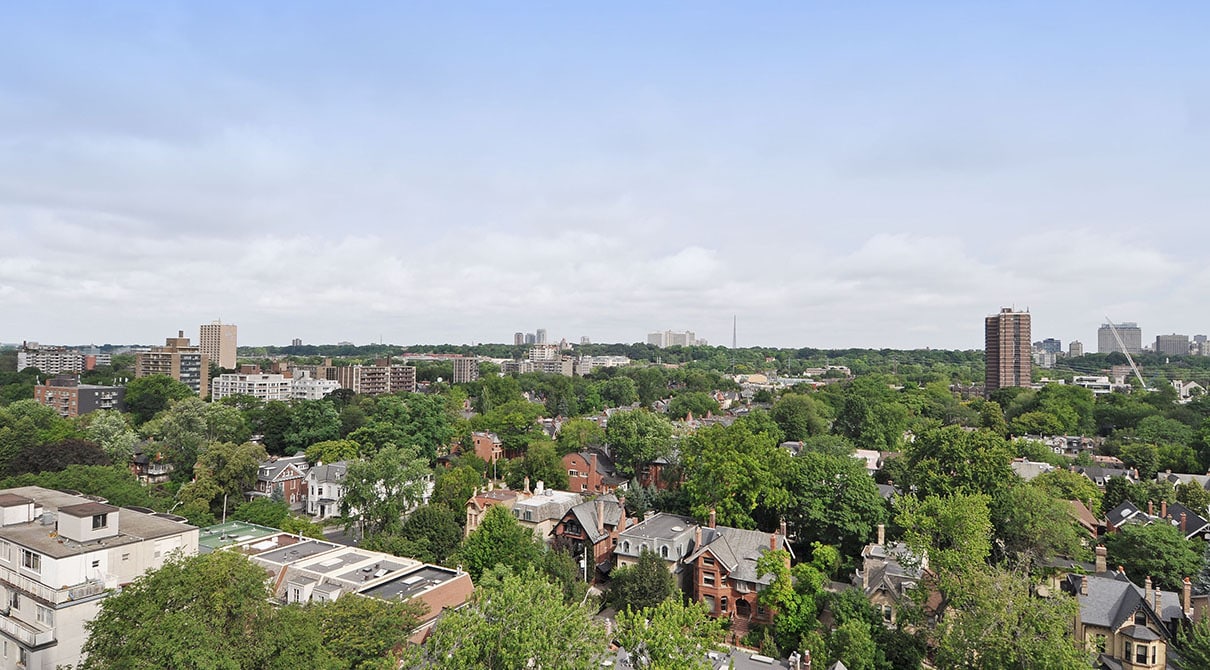 Photo principale - Prince Arthur